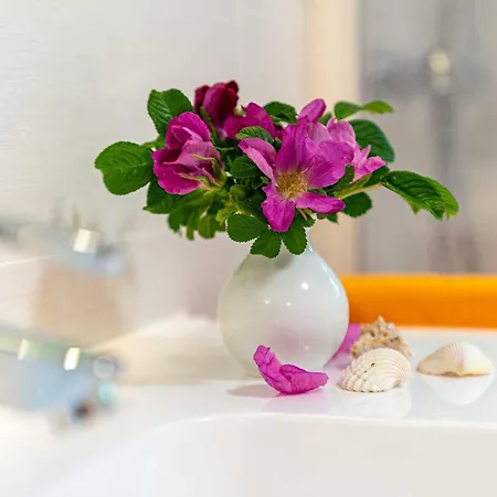 Selliner Mit Balkon Und Seeblick Appartement