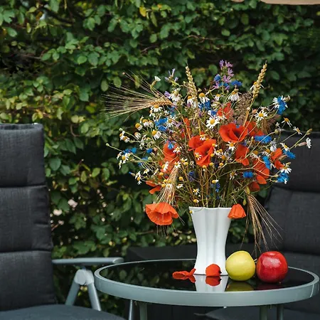 Selliner Mit Balkon Und Seeblick Appartement *