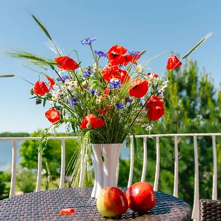 Appartement Selliner Mit Balkon Und Seeblick *